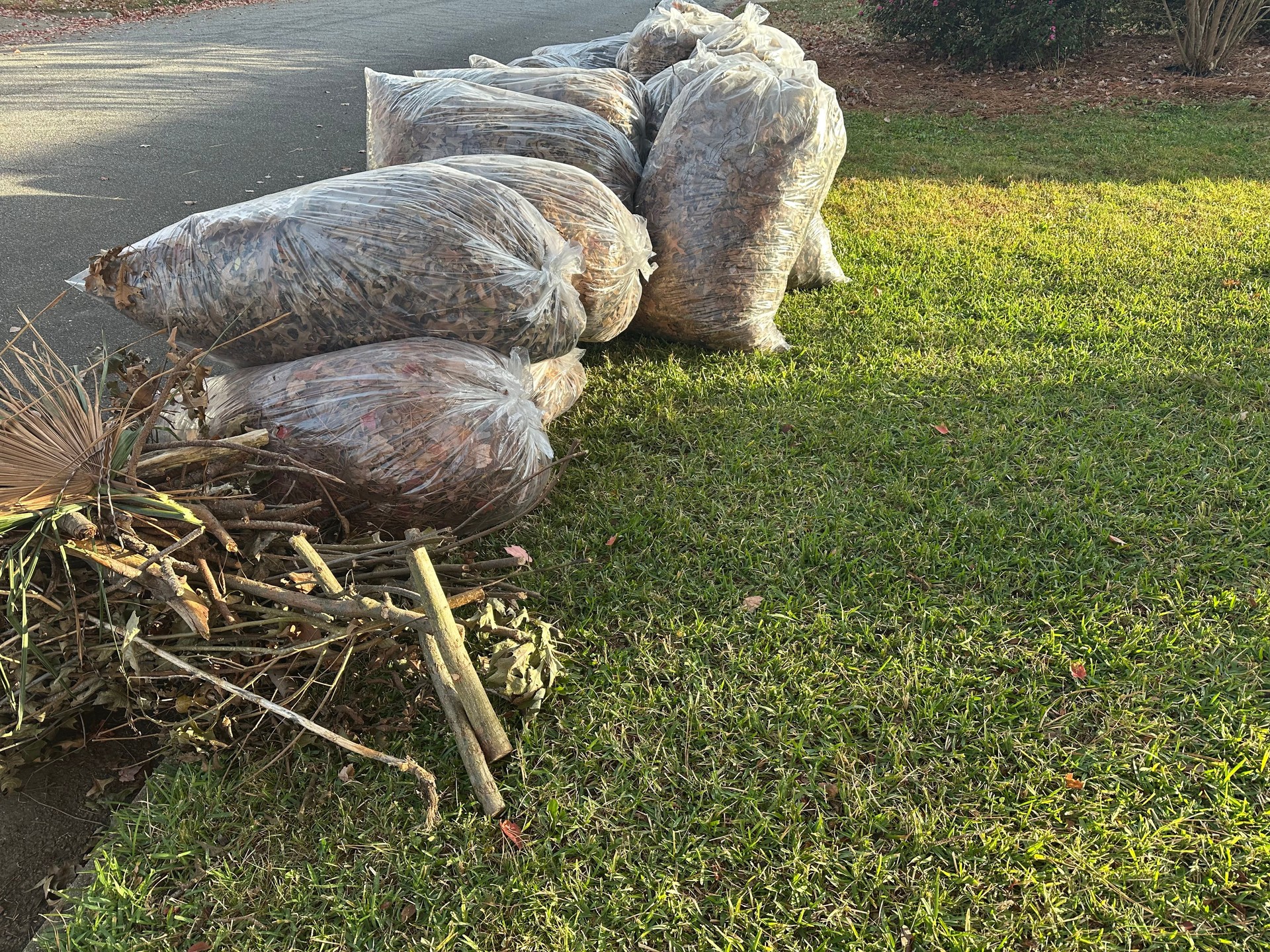 Leaf yard waste